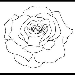 Meet your Posher, Stella